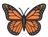 Butterfly icon