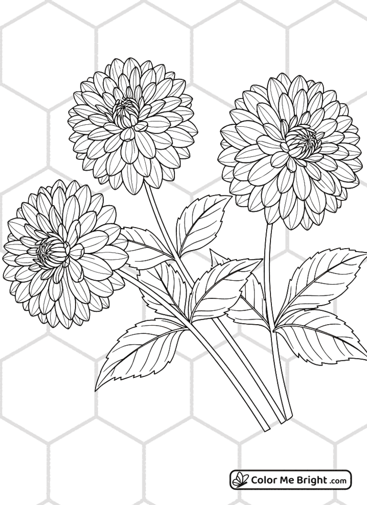 coloring page Delightful Dahlias