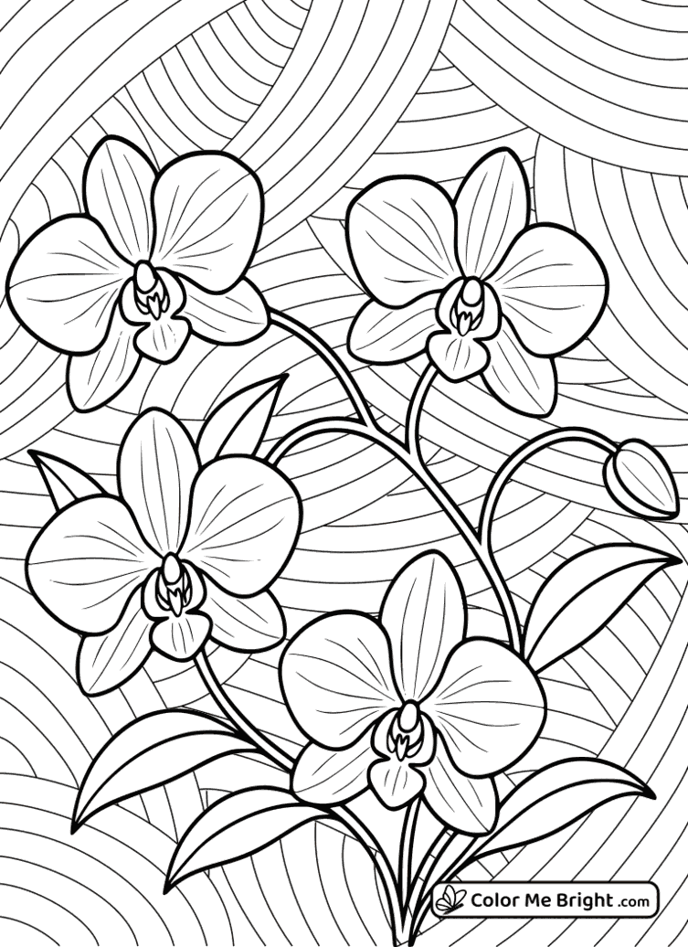 coloring page Enchanted Orchids