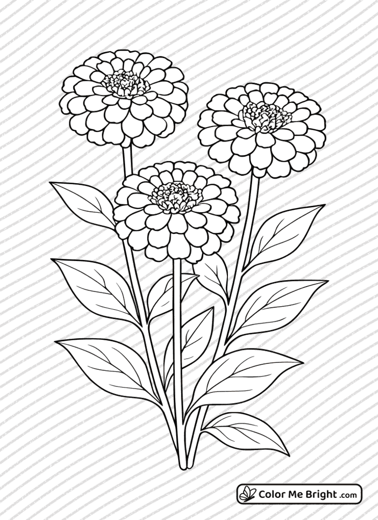 coloring page Elegant Zinnias