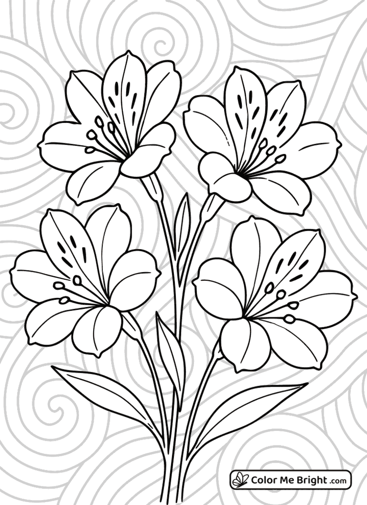 coloring page Beautiful Alstroemerias
