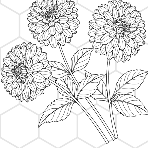 Delightful Dahlias thumbnail